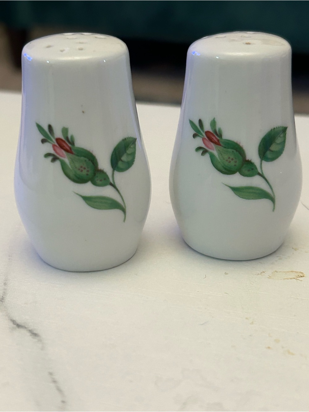 Vintage Rose Lorenz Hutschenreuther Selb Bavaria Porcelain Salt & Pepper Shakers